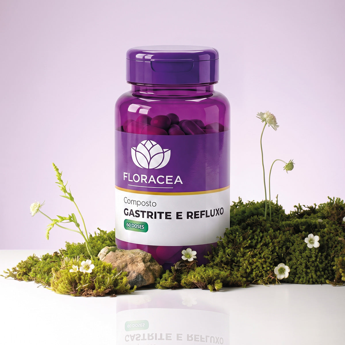 Composto Gastrite e Refluxo 60 Doses