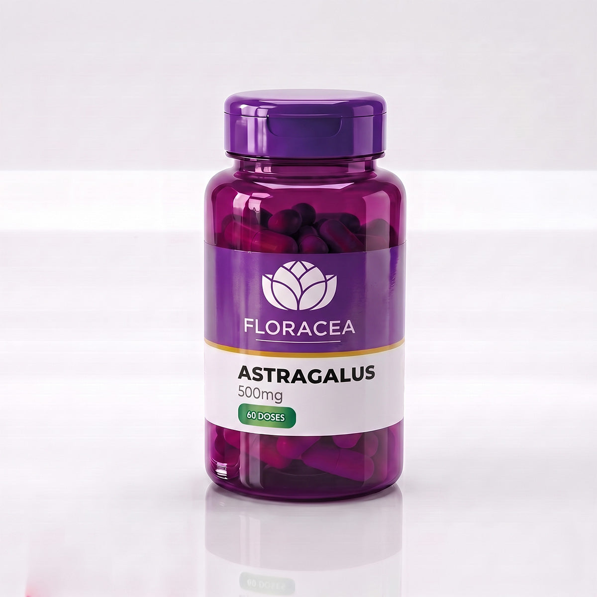 Astragalus 500mg 60 Doses