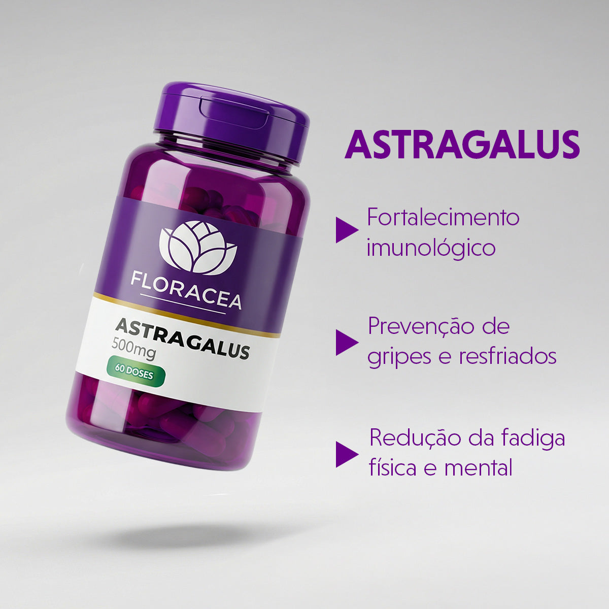Astragalus 500mg 60 Doses - imagem 2