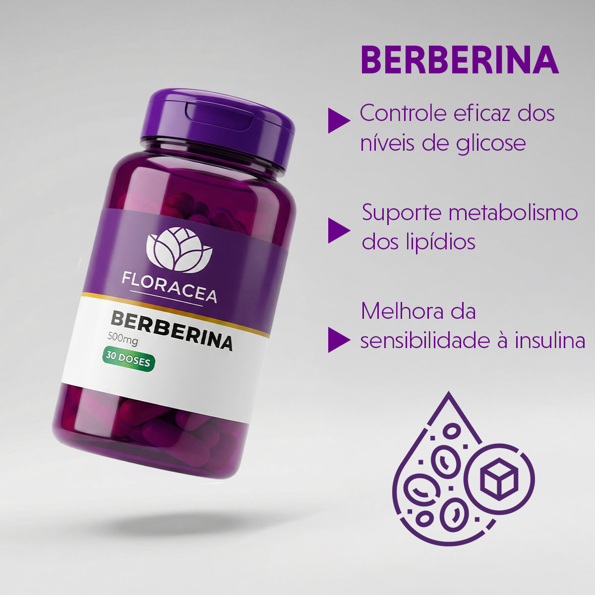 Berberina 500mg 30 Doses - imagem 2