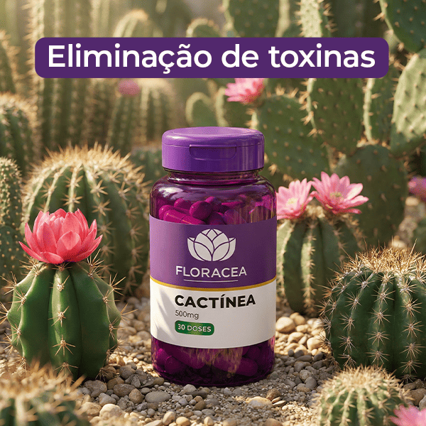 Cactinea 500mg 30 Doses - imagem 2