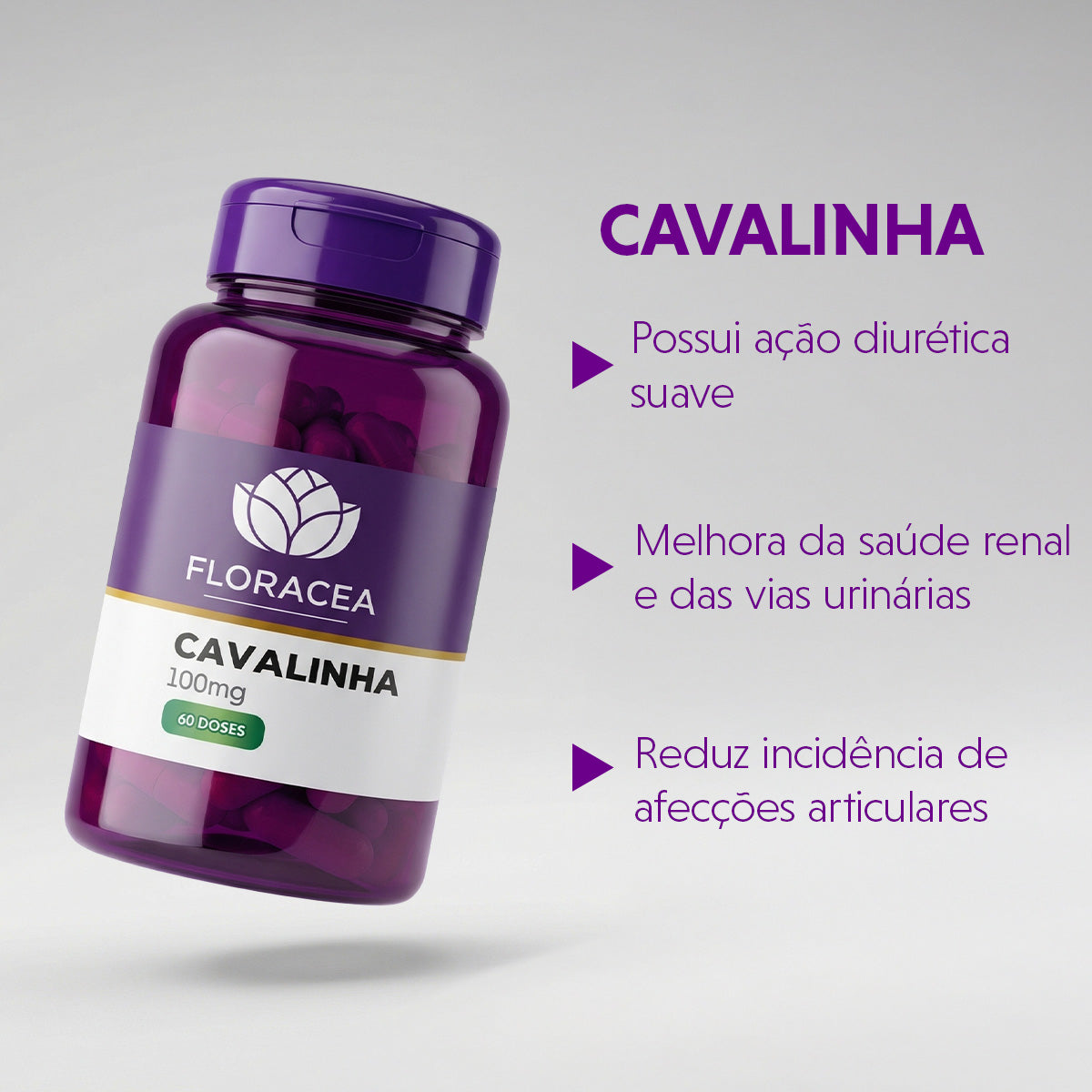 Cavalinha 100mg 60 Doses - imagem 2