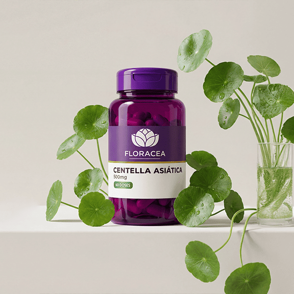 Centella Asiatica 500mg 60 Doses - imagem 2