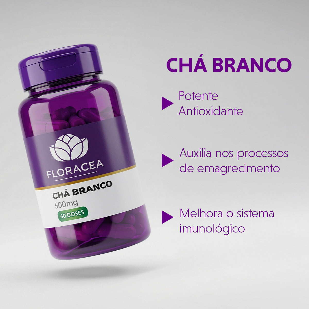 Chá Branco 500mg 60 Doses - imagem 2