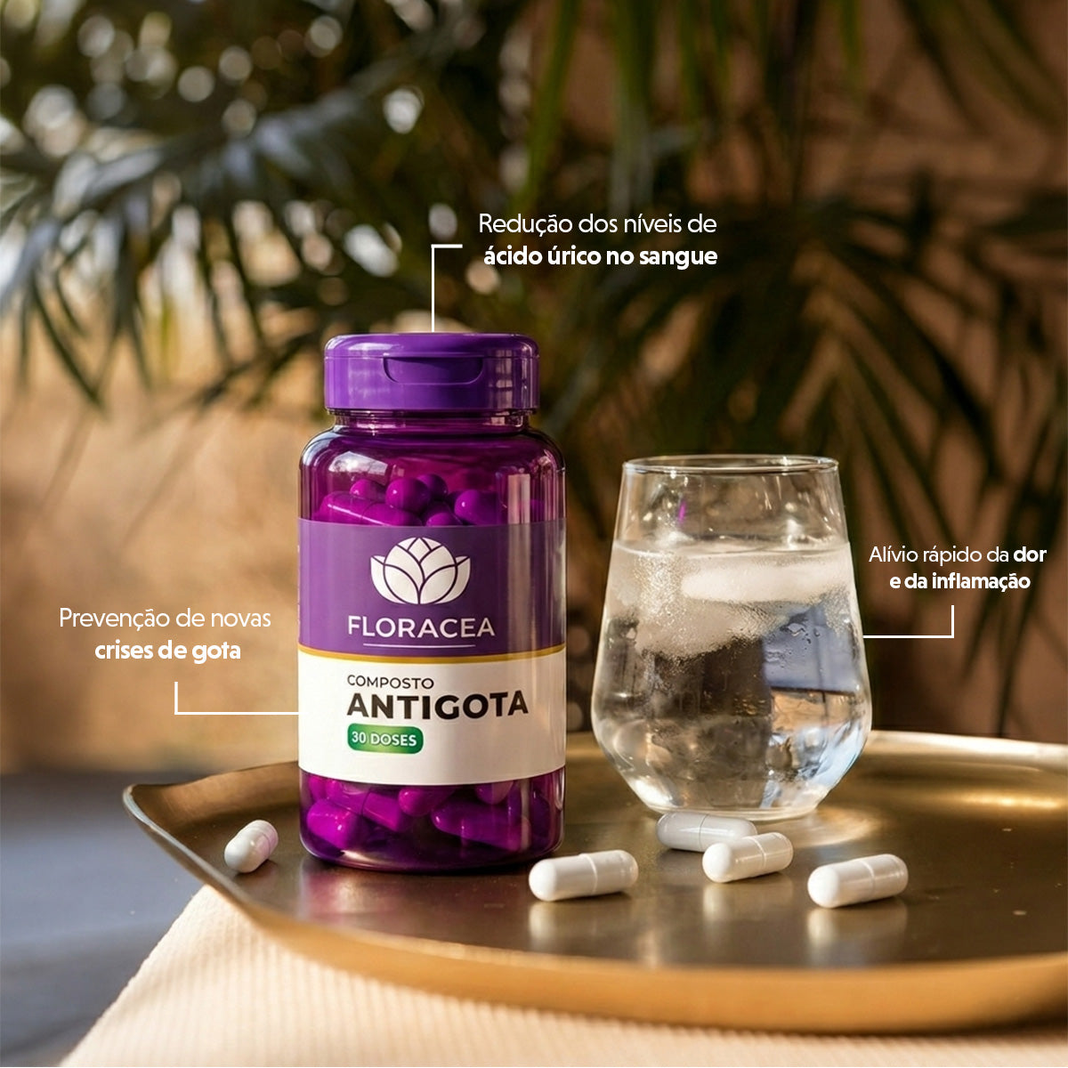 Composto Anti-gota 30 Doses - imagem 2