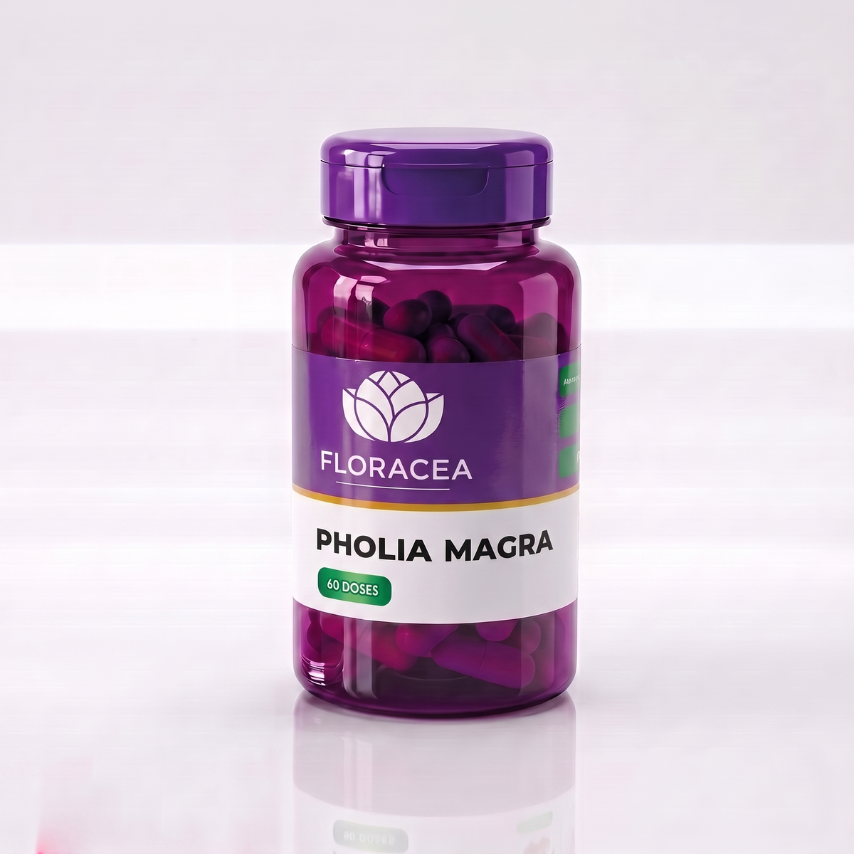 Pholia Magra 60 Doses