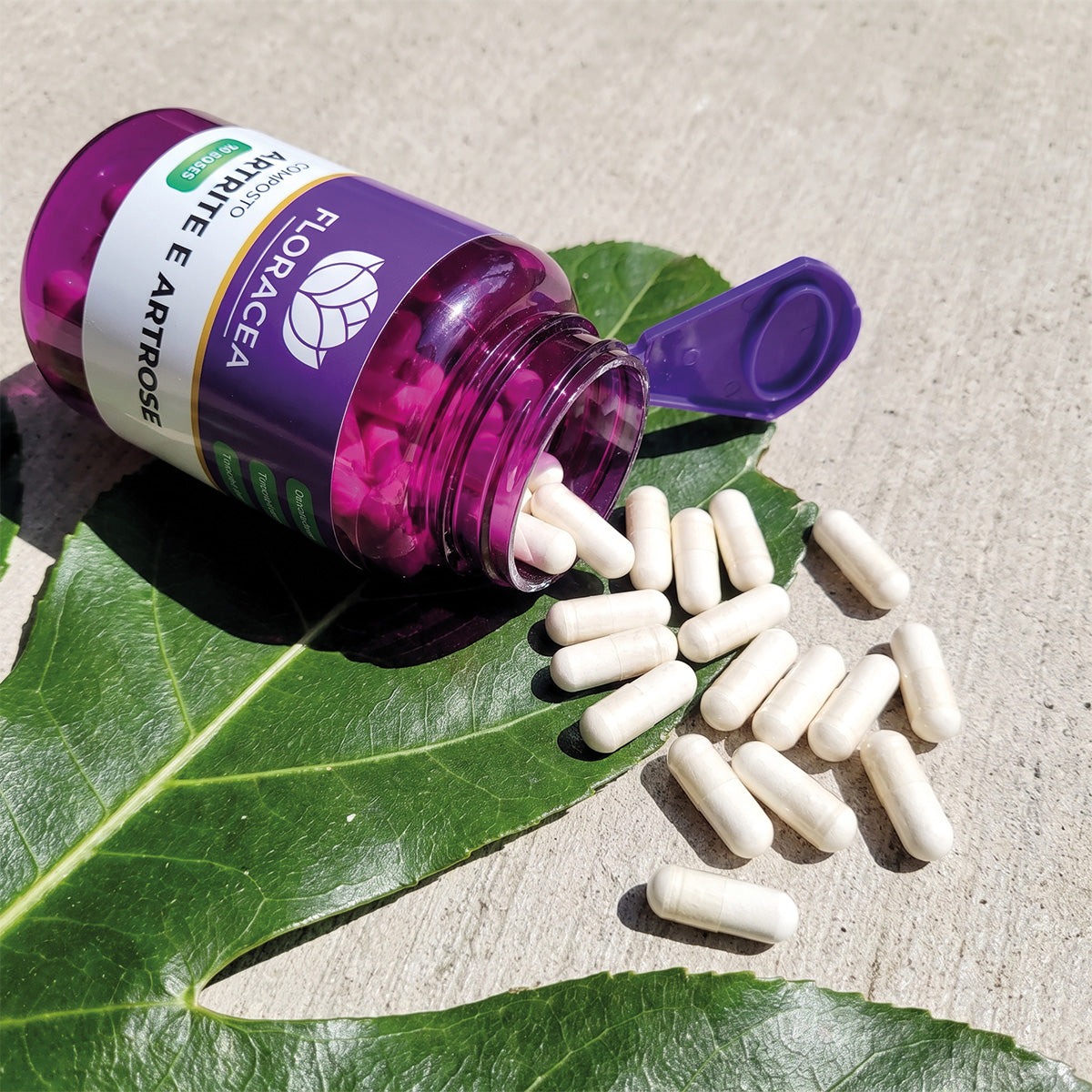 Composto Artrite e Artrose 90 Doses